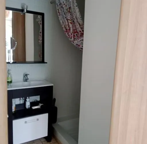 Appartement T2 Climatise Avec Jardin Privatif Et Stationnement